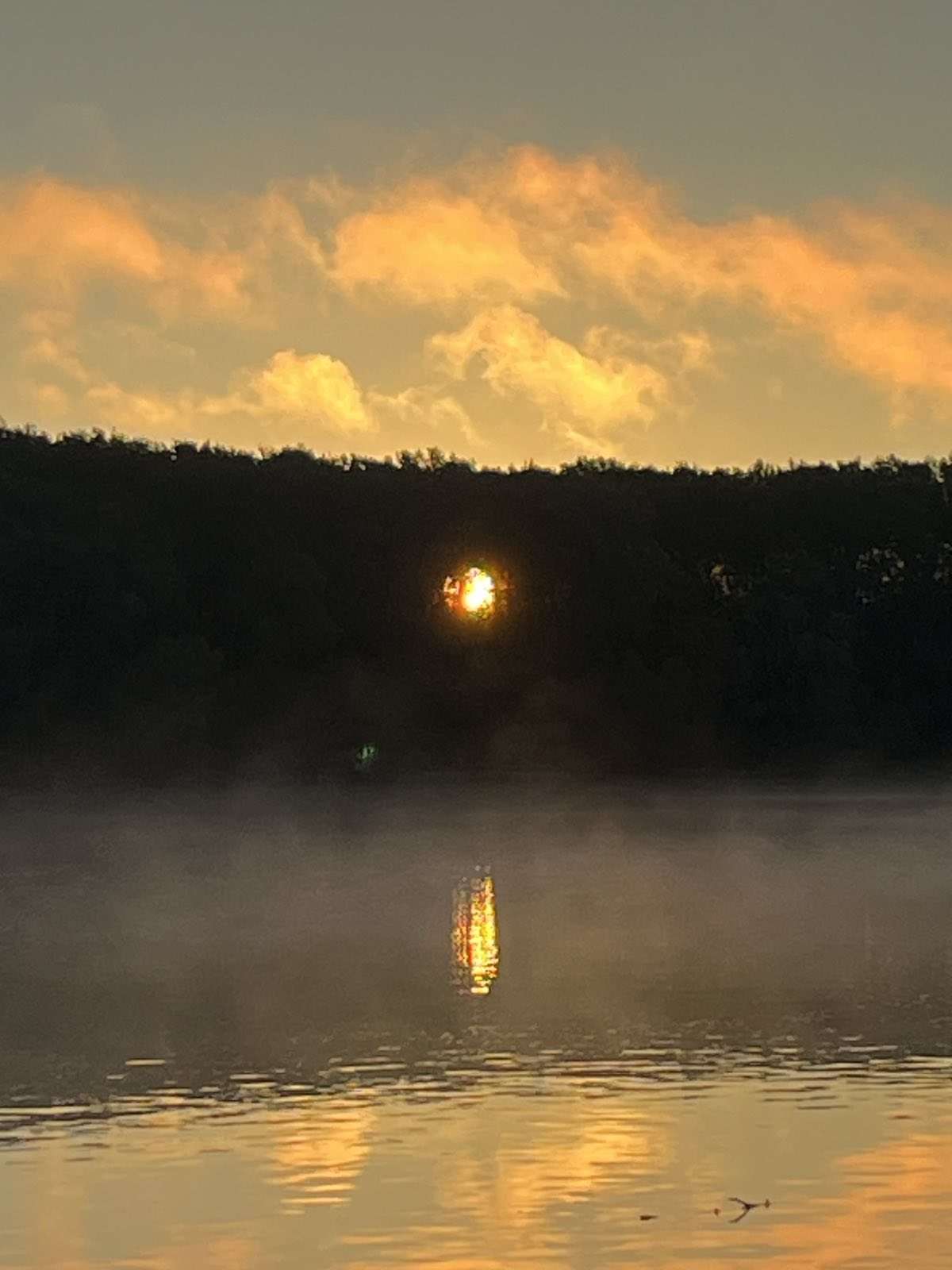 Danube, Liberland